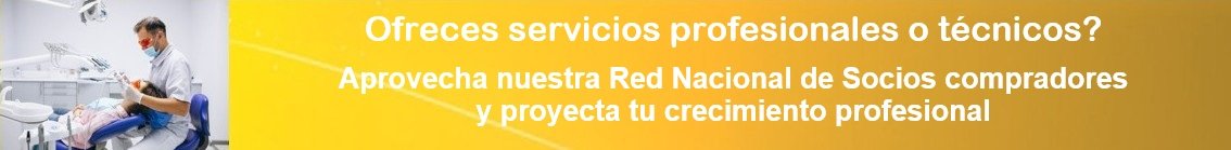 Servicios Profesionales y Técnicos